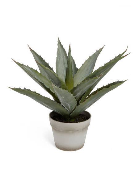 ALOE VERA GREEN 17.5" for wholesale by Studio Specialties