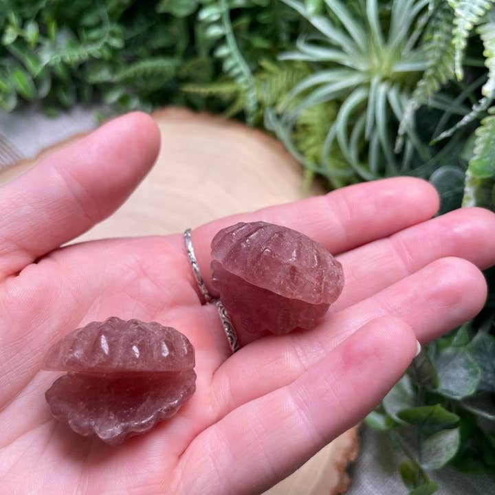 Copper Ashes - Wholesale Spiritual Stone/Crystal - Crystal Clam5