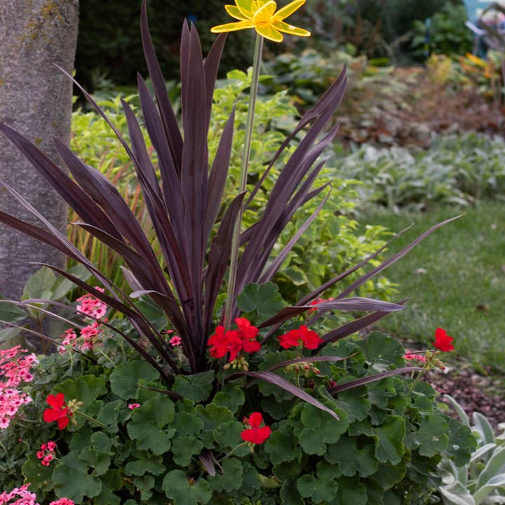 The Colored Petal - Wholesale Garden/Lawn Stake - Dragonfly garden stake - Garden ornament