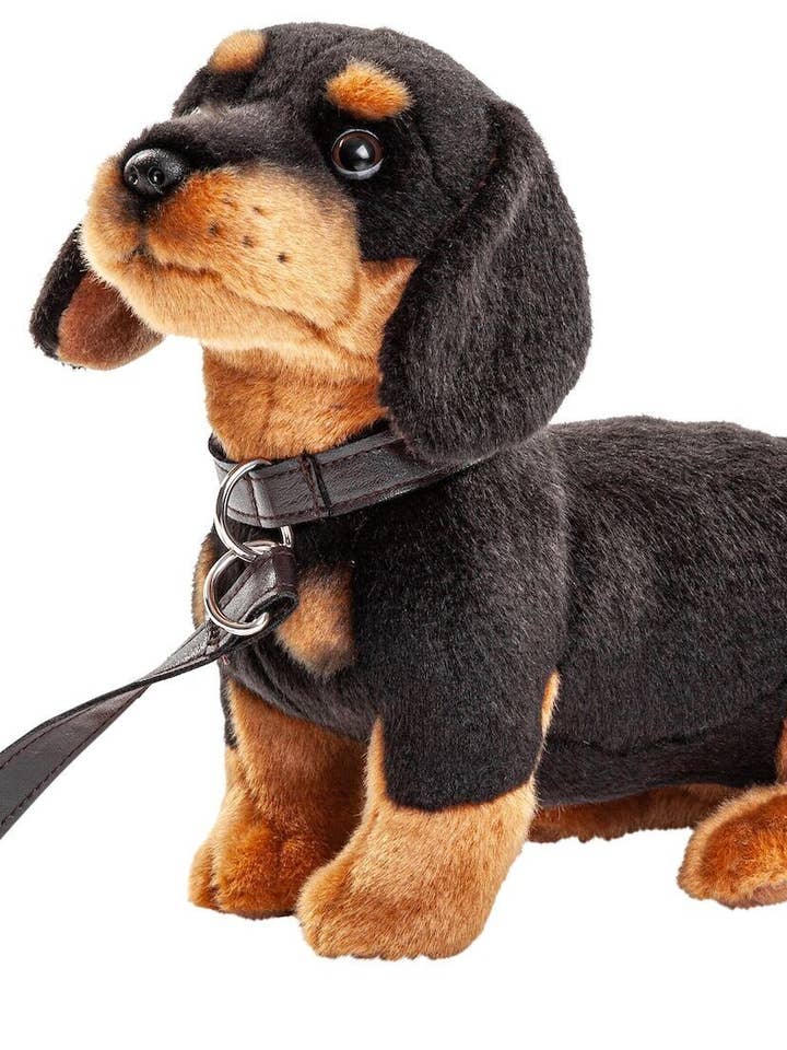 Teckel en peluche avec laisse, 27 cm de long pour la vente par Uni Toys