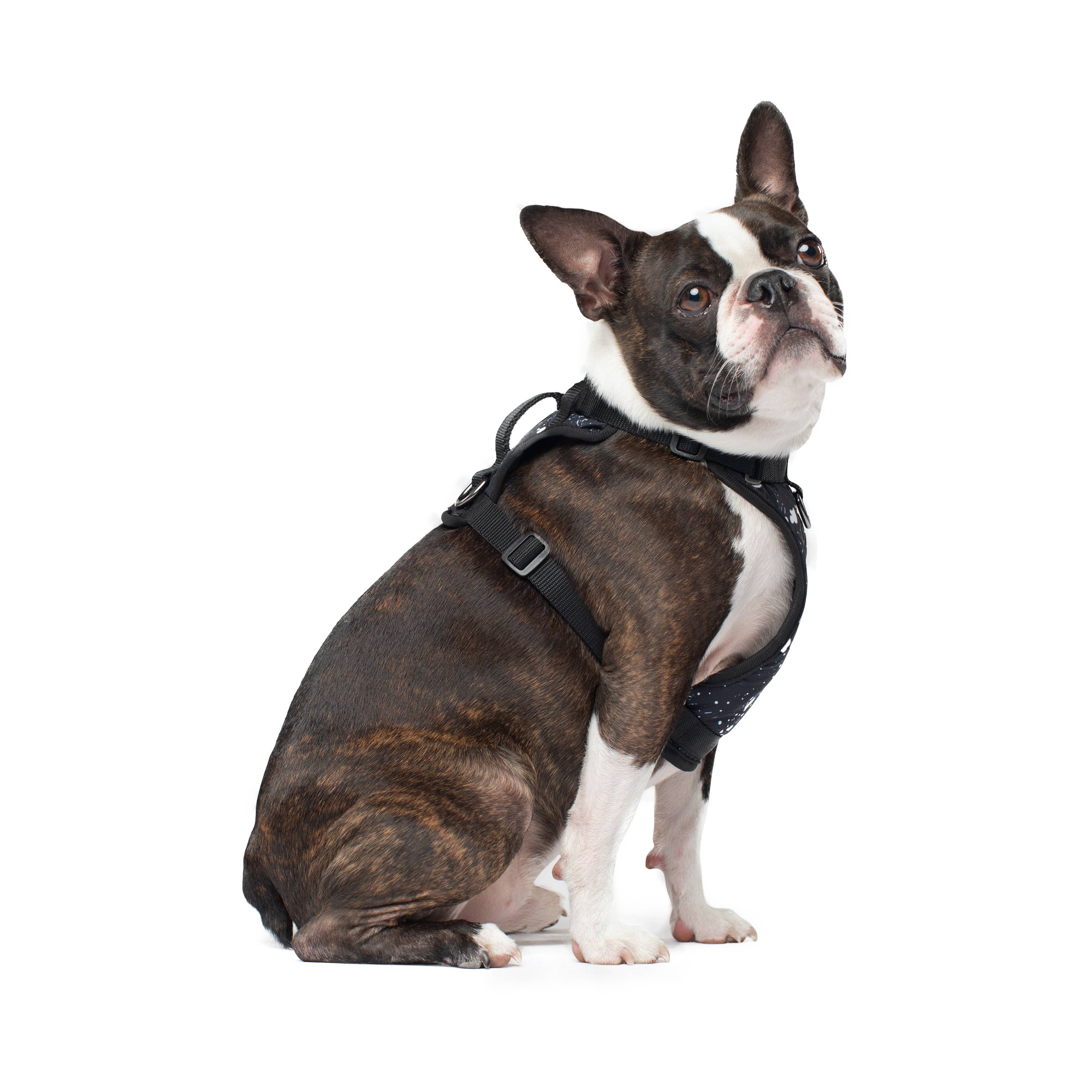 Canada Pooch - Wholesale Pet Harness - Dog - Everything Harness- No-Pull Dog Harness14
