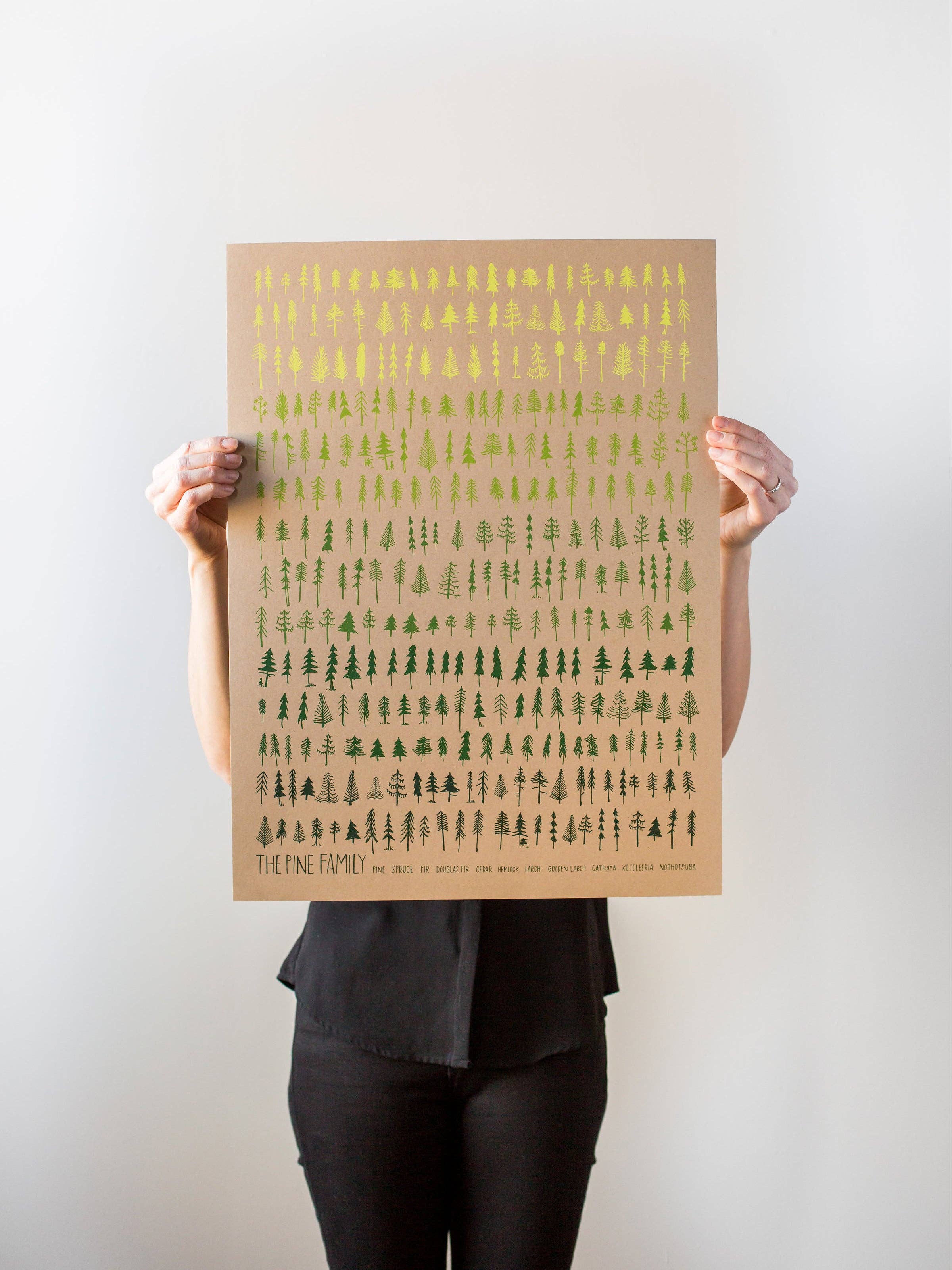 Brainstorm - Wholesale Art Print - The Pine Family Print on Kraft