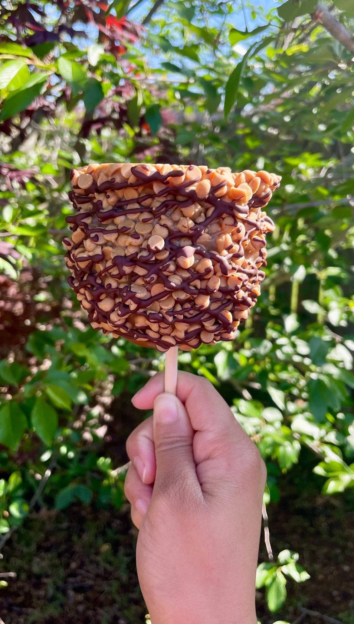 Scooty's Apples LLC - Wholesale Chocolate Covered Sweets - Peanut Butter Caramel Dream1