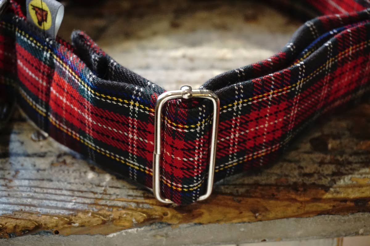 hundsfutter - Wholesale Pet Collar - Dog - Collar, leash, and bag holder set.22