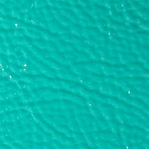 Tracey Tanner – wholesale Phone wallet – women's – Tia Crossbody Phone Case79