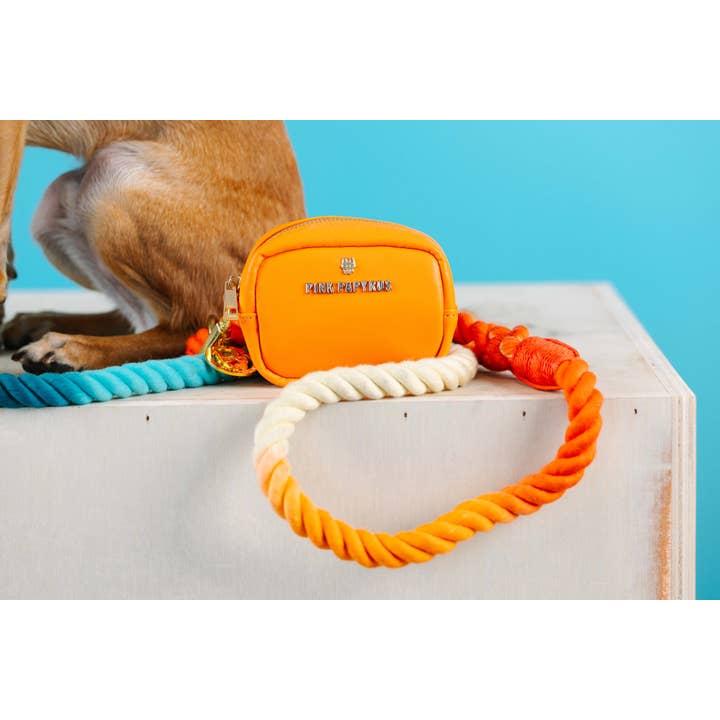 Pink Papyrus | Premium, Durable, & Stylish Dog Products - Wholesale Pet Leash - Dog - Beau Rope Dog Leash | Dog Leash | Blue And Orange Leash