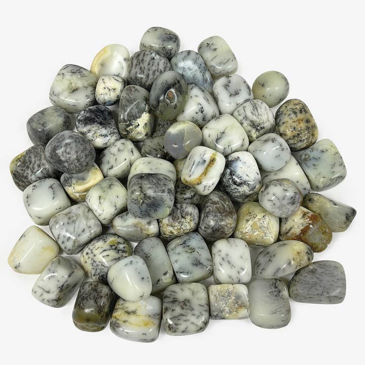 Pedras Preciosas de Pedra Trombada de Ágata Dendrítica Natural - 1 lb por atacado de Gem Avenue Wholesale