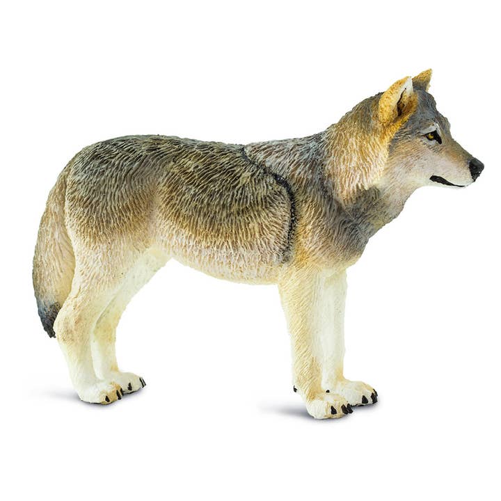 Safari Ltd. - Wholesale Figurine Toy - Kids - Gray Wolf - 1005093