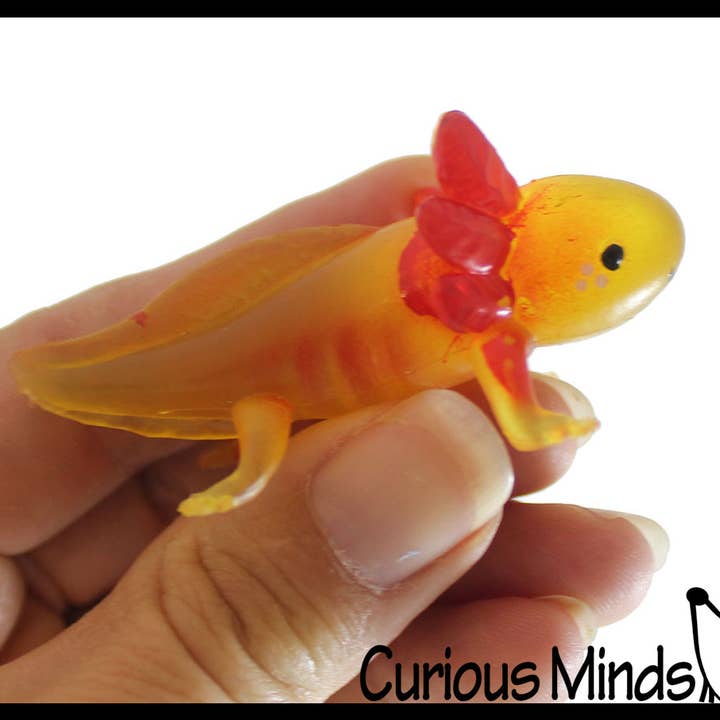 Curious Minds Toys – wholesale Fidget Toy - Barn – 1 påse med 12 realistiska 2,5" färgglada små axolotler-figurer5