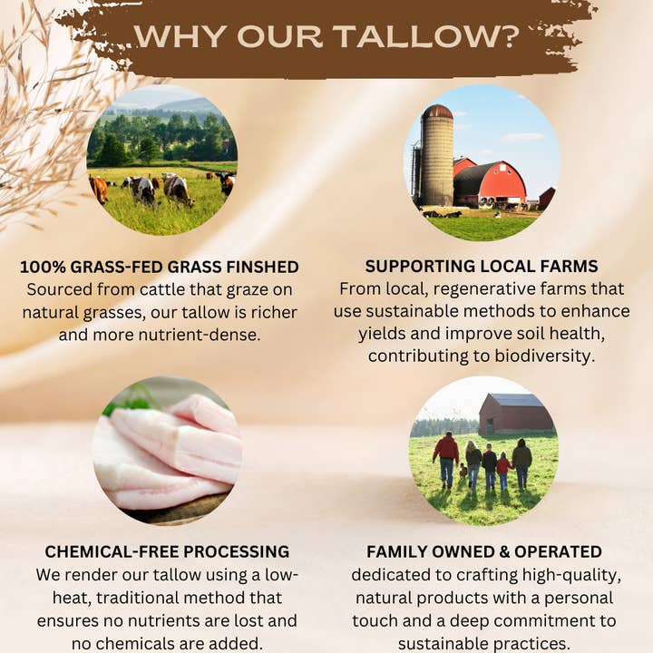 Untamed Organics - Wholesale Lip Balm - Grass-Fed Tallow Lip Balm (4-Pack)