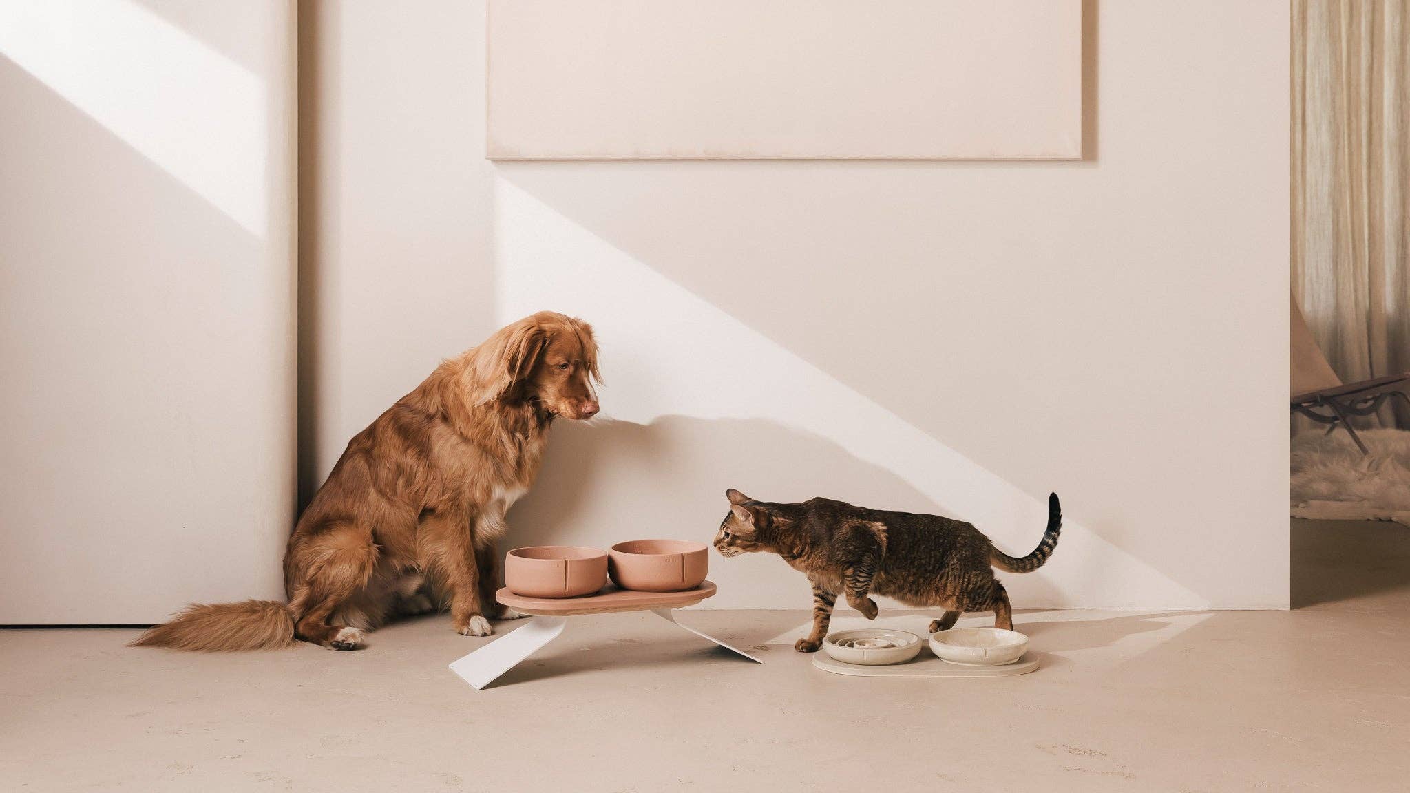 PINO - Wholesale Pet Bowl - Cat - Whisker Friendly Bowl9