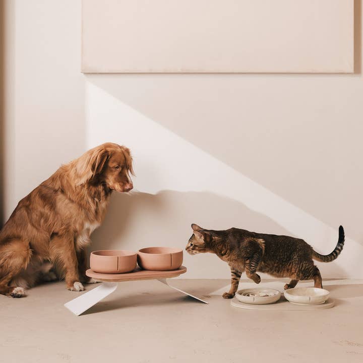 PINO - Wholesale Pet Bowl - Cat - Whisker Friendly Bowl9