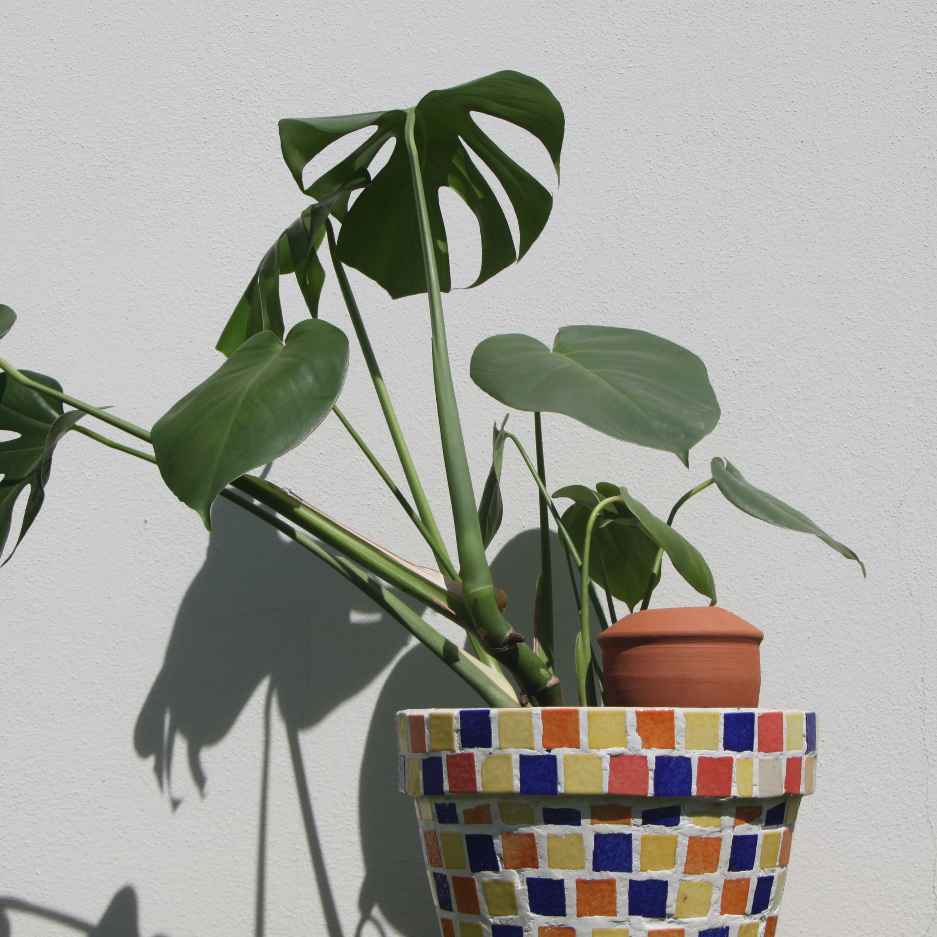 Poterie lutton - Wholesale Watering Can - Ollas Bolet10