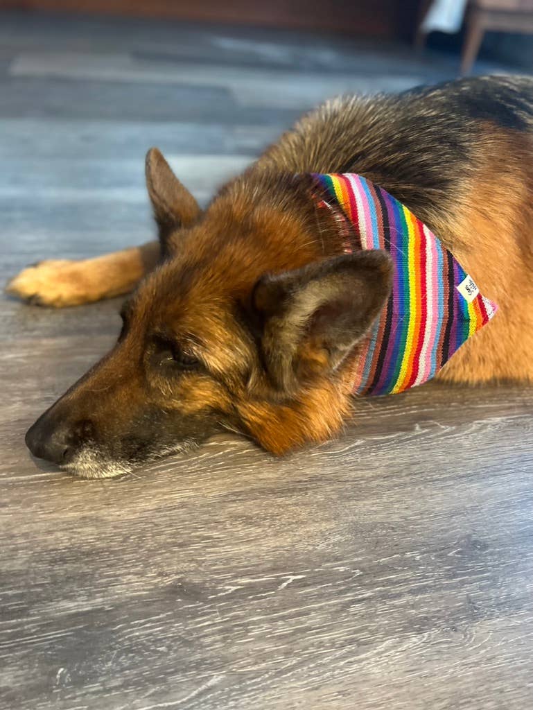 Sam & Nala | intentional style for pets & their people - Wholesale Pet Bandana - Dog - Love is Love Dog  Bandana (Rainbow)- Fair Trade3