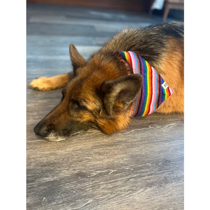Sam & Nala | intentional style for pets & their people - Wholesale Pet Bandana - Dog - Love is Love Dog Bandana (Rainbow)- Fair Trade3