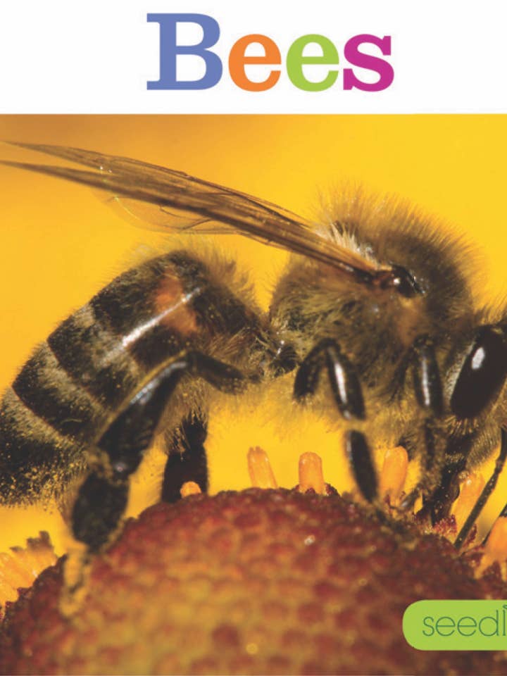 Bees for wholesale by The Creative Company