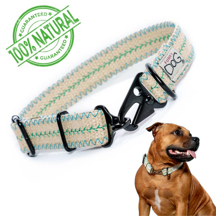 FUNKY DOG – wholesale Halsband - Hund – Hampahundhalsband Miljövänligt, Hållbart, Andningsbart