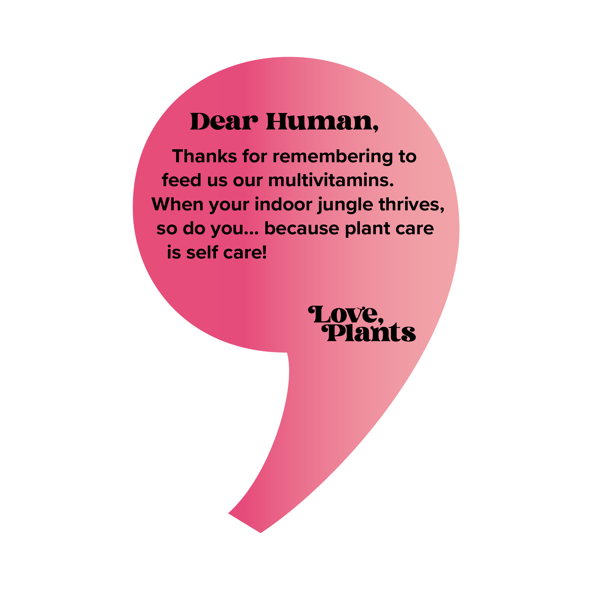 Love, Plants - Wholesale Fertilizer - Houseplant Multivitamin - Houseplant Fertilizer 4