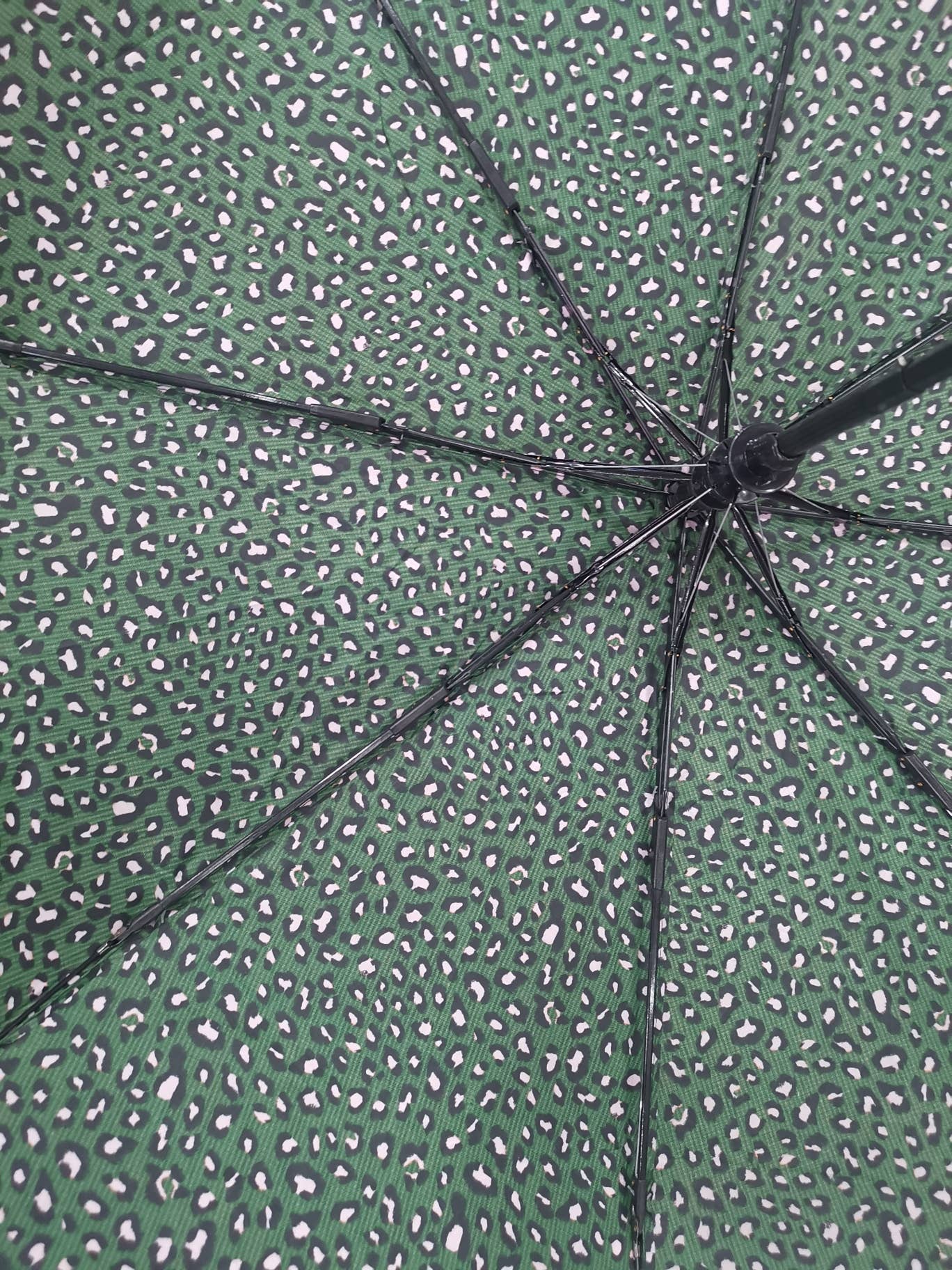 Superbia – Engroshandel Paraply - Dame – Lille semi-automatisk paraply med dyreprint - 55B9