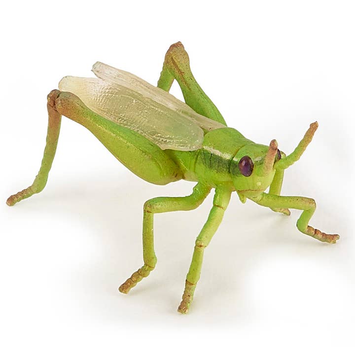 Grasshopper for wholesale by Papo