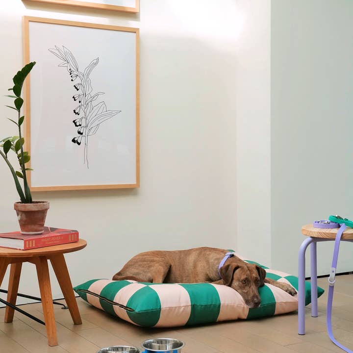 Approved by Fritz - EUROPE - Wholesale Pet Bed - Dog - The Fritz Dog Bed Machine Washable, Recycled, Scratch Proof 17