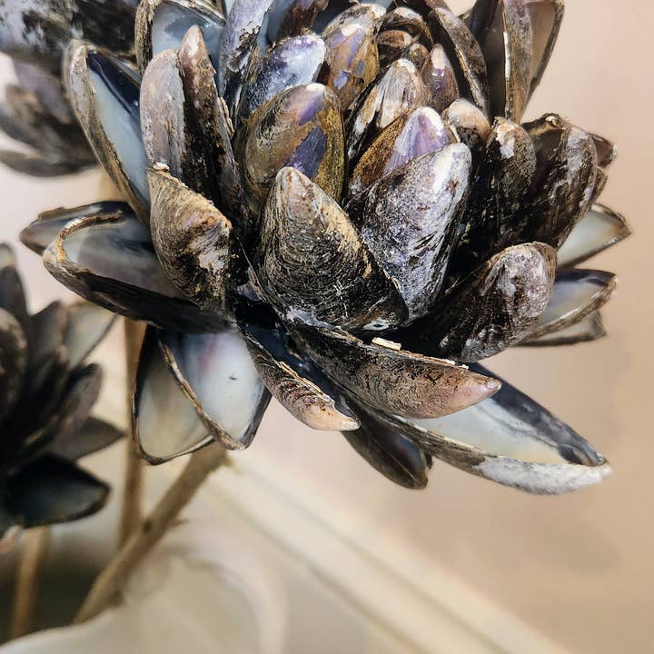 White Tulip Boutique - Vente Fleurs artificielles - Fleurs éternelles en coquilles de moules faites à la main, ensemble de 3