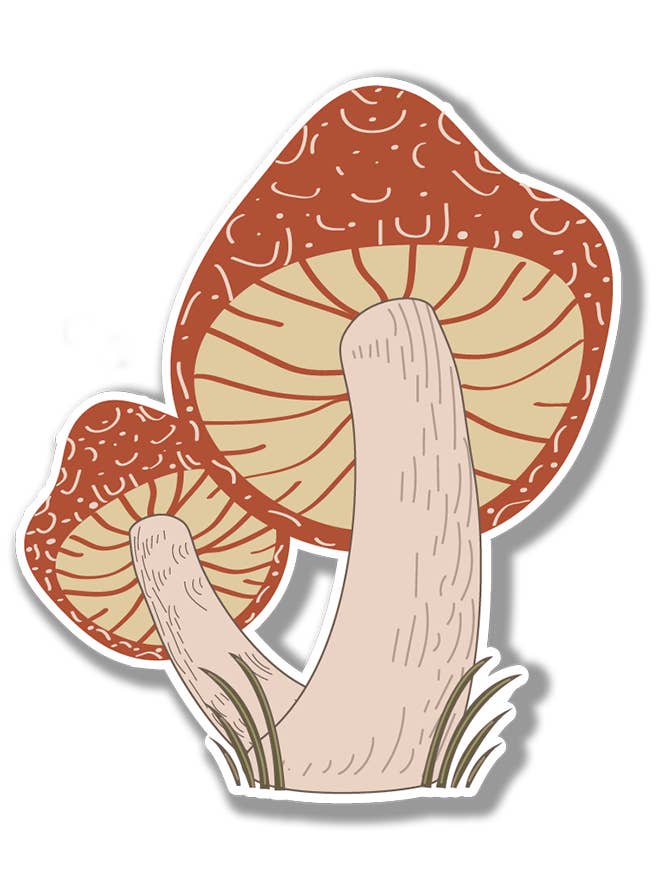 Autocollant aux champignons | Autocollant psychédélique pour bouteille d'eau | Autocollant aux champignons | Autocollant mycologue pour bouteilles d'eau | Autocollant contre les champignons pour la vente par Banana Travels Press