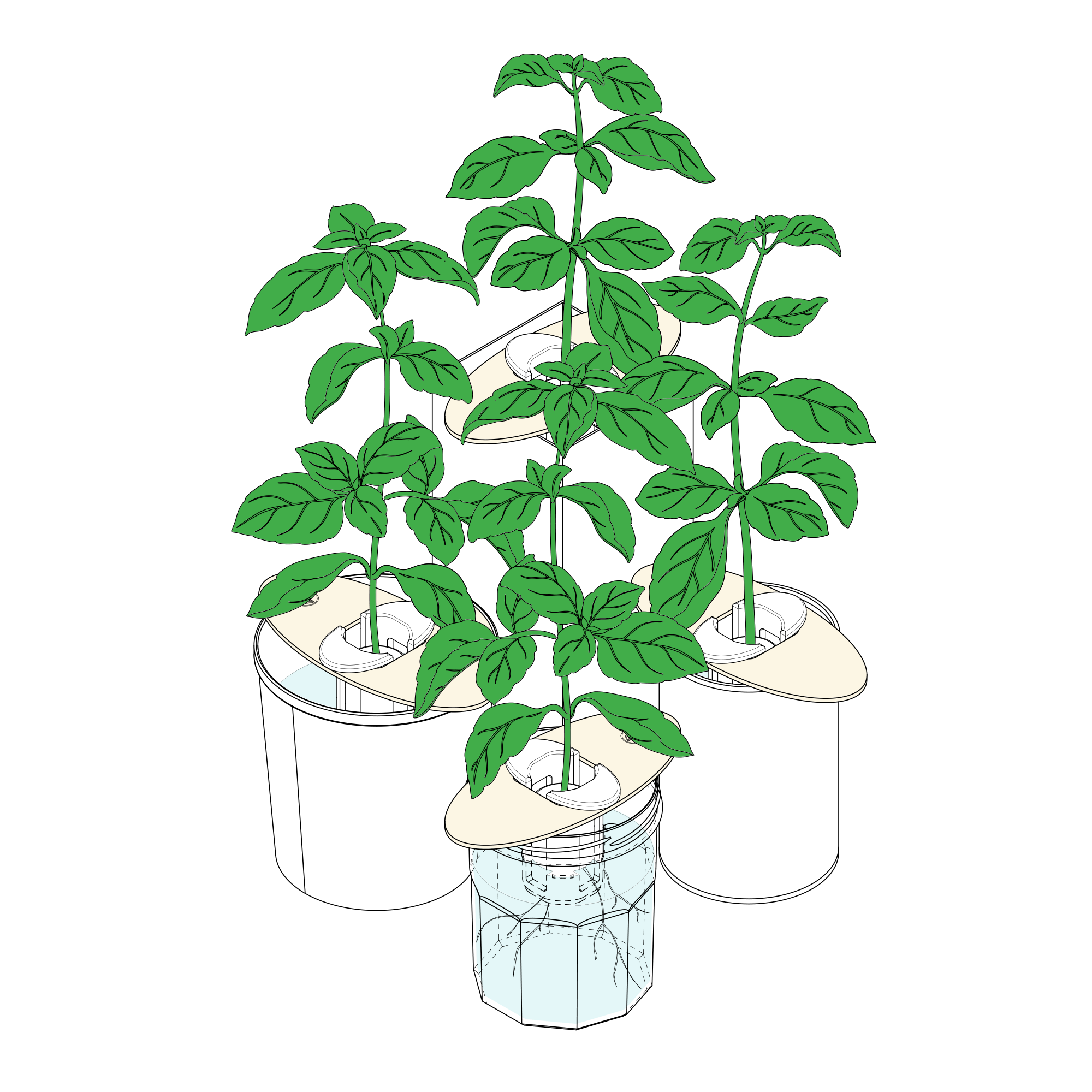 Shroot: Kabloom Seedboms - Wholesale Plant Seeds - Bottle Farm Mini Kit - Indoor Hydroponic Herb Basil Grow Kit4