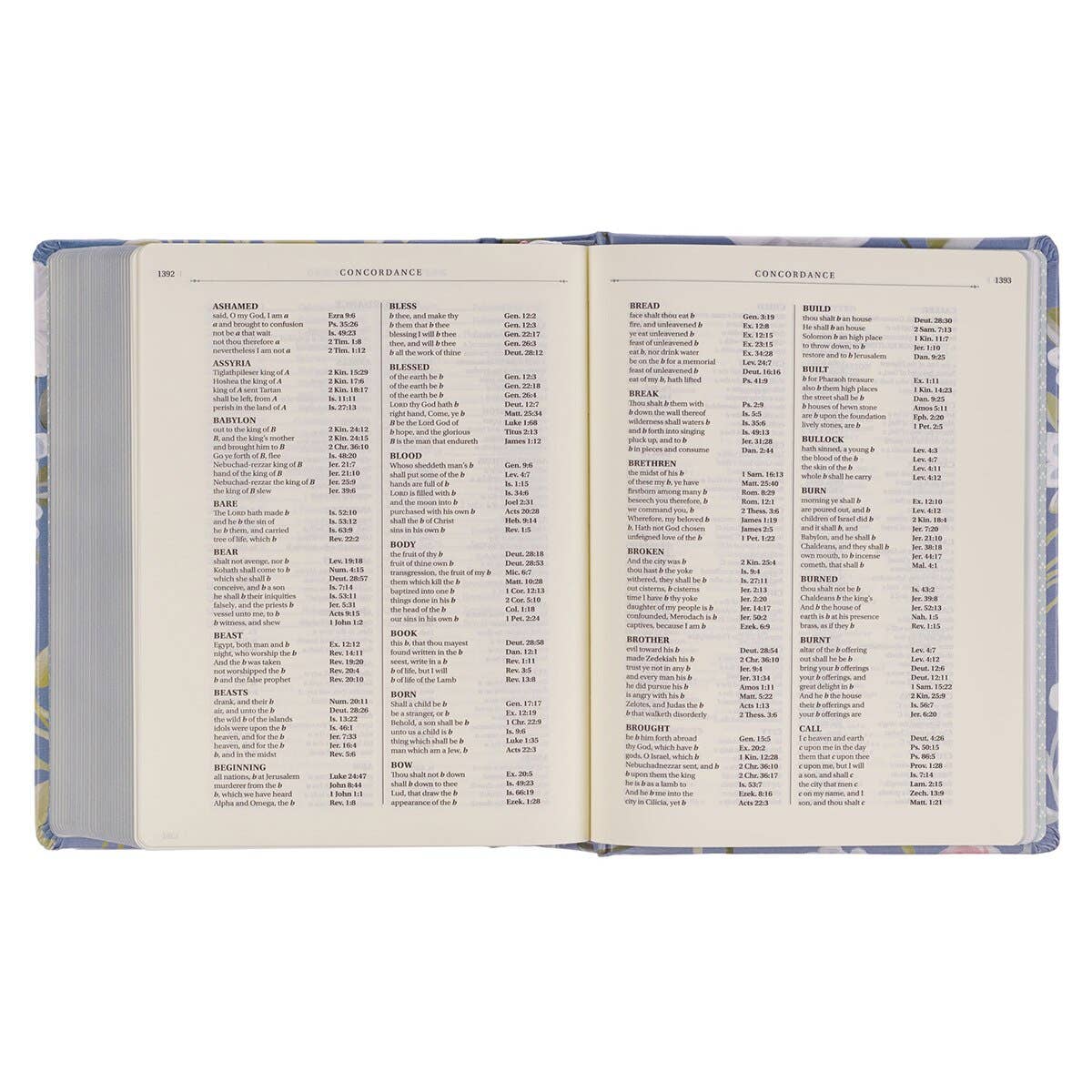 Christian Art Gifts - Wholesale Display Book - KJV Note-taking Bible HC Things Above Col. 3:27