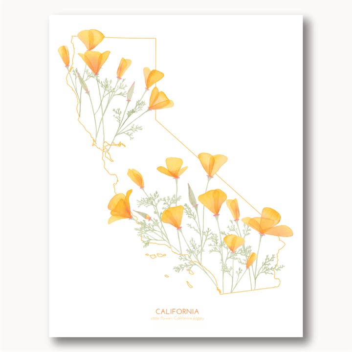 California Poppy State Print for wholesale by Sophie Tivona Paper