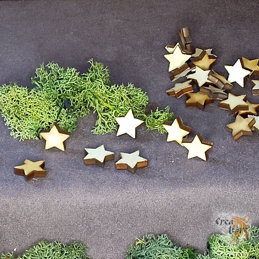Creatigre - Wholesale Craft supplies - Star Shape Creative Hobby - Decoration0