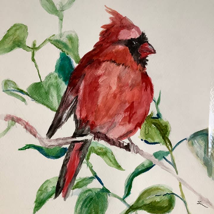 Wall Art Robin Print 2 for wholesale by Symphony Portrait, LLC