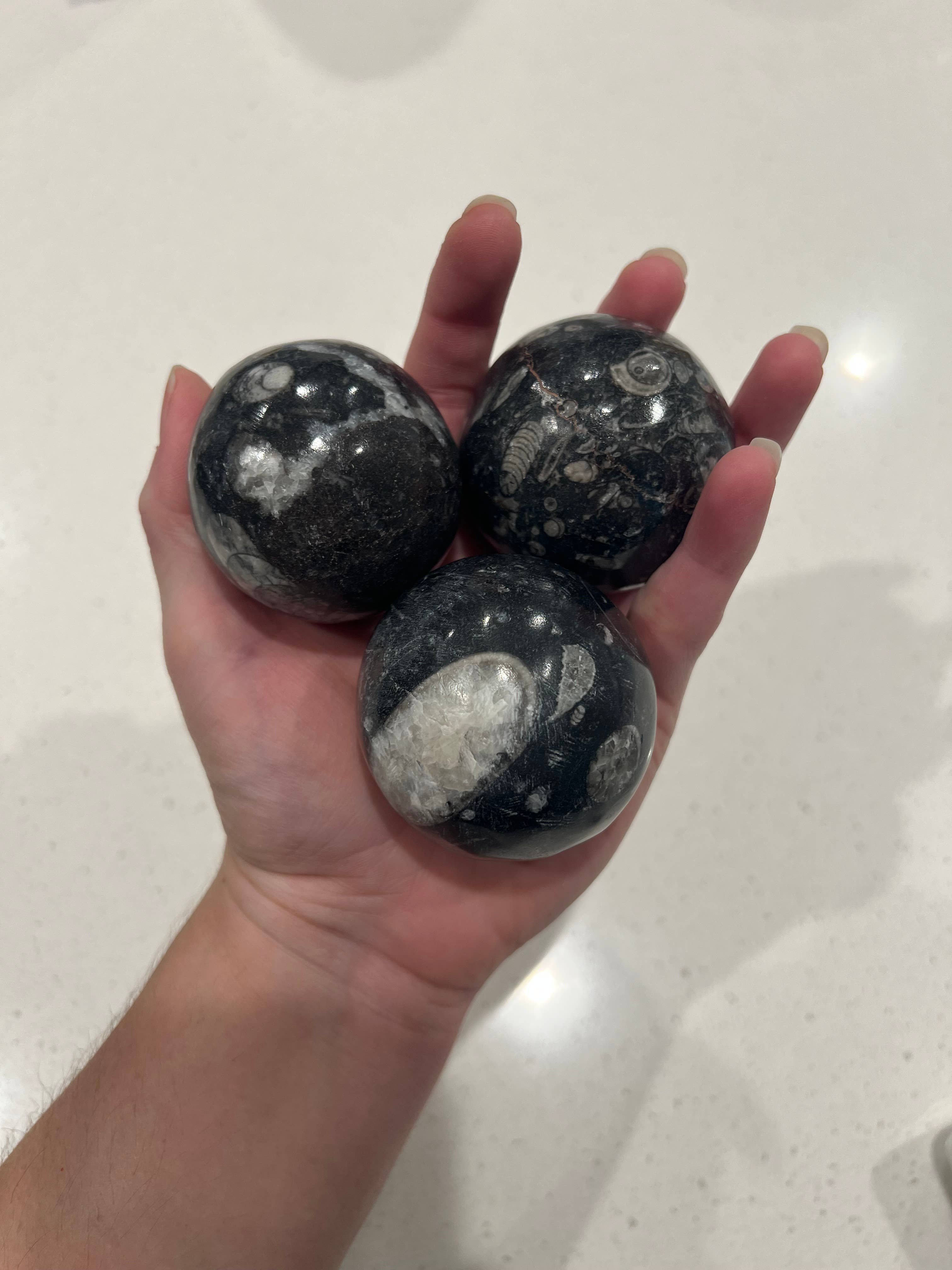 Only Crystals Remain - Vendita all'ingrosso Pietra/cristallo spirituale - Sfere di ortoceras Sfere di cristallo fossile4