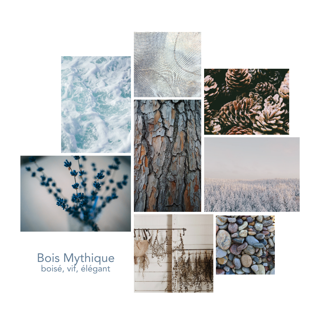 Pikoc - Wholesale Laundry Detergent Powder/Pods - Laundry Detergent Bois Mythique 5L3