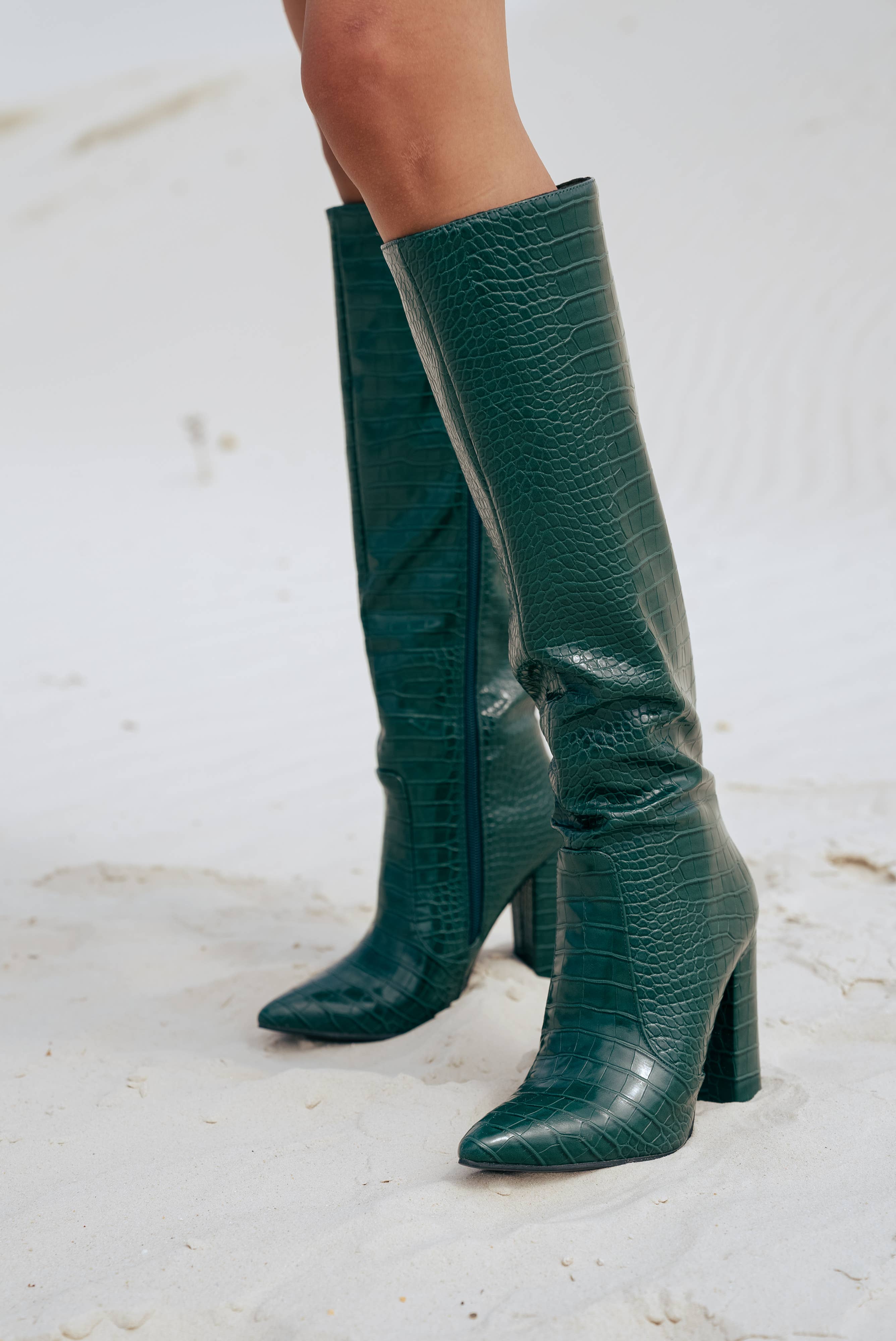 Stephan Paris - Wholesale Boots - Women's - C-132b crocodile pattern pointed boots19