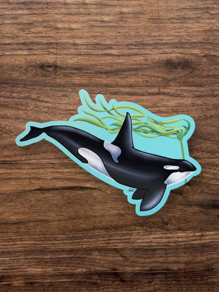 Adesivo Kelp & Killerwhale per la vendita all'ingrosso da parte di Woodlands