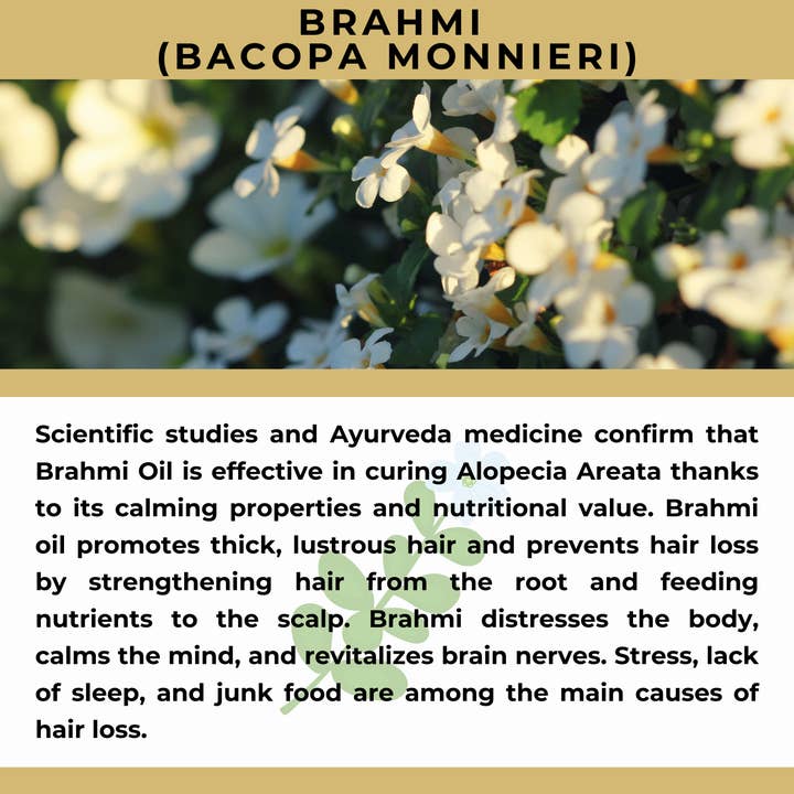 The Sacred Essence - Wholesale Hair serum - MANA Ayurveda Hair Restoration Serum - Hair Superpower23