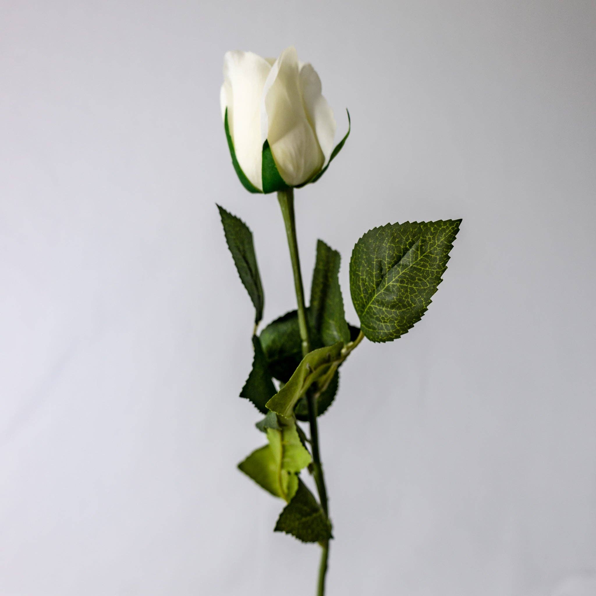 Realistic Artificial Flowers - Wholesale Artificial flowers - Bridal White Real Touch Rose - Open Bud3