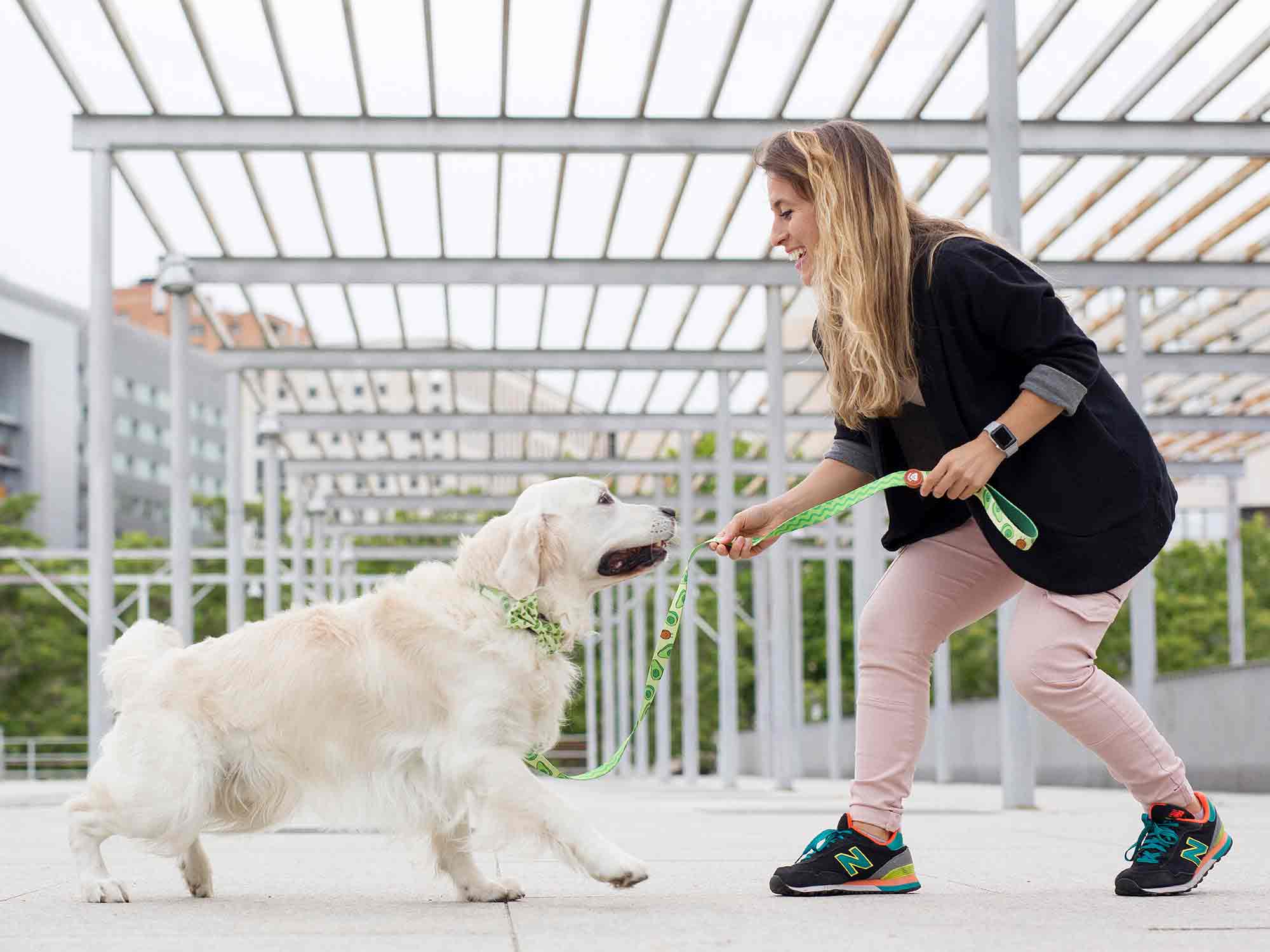 Dukier - Vendita all'ingrosso Guinzaglio - Cani - Guinzaglio Avocado per Cani3