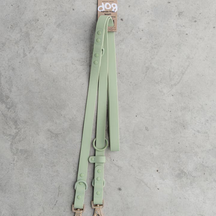 dexypaws - Wholesale Pet Leash - Dog - Hands Free Leash in Sage Green4