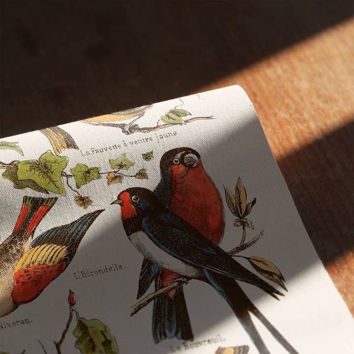 Aster Edition - Vente Toile - Toile : Nos Bons Petits Oiseaux