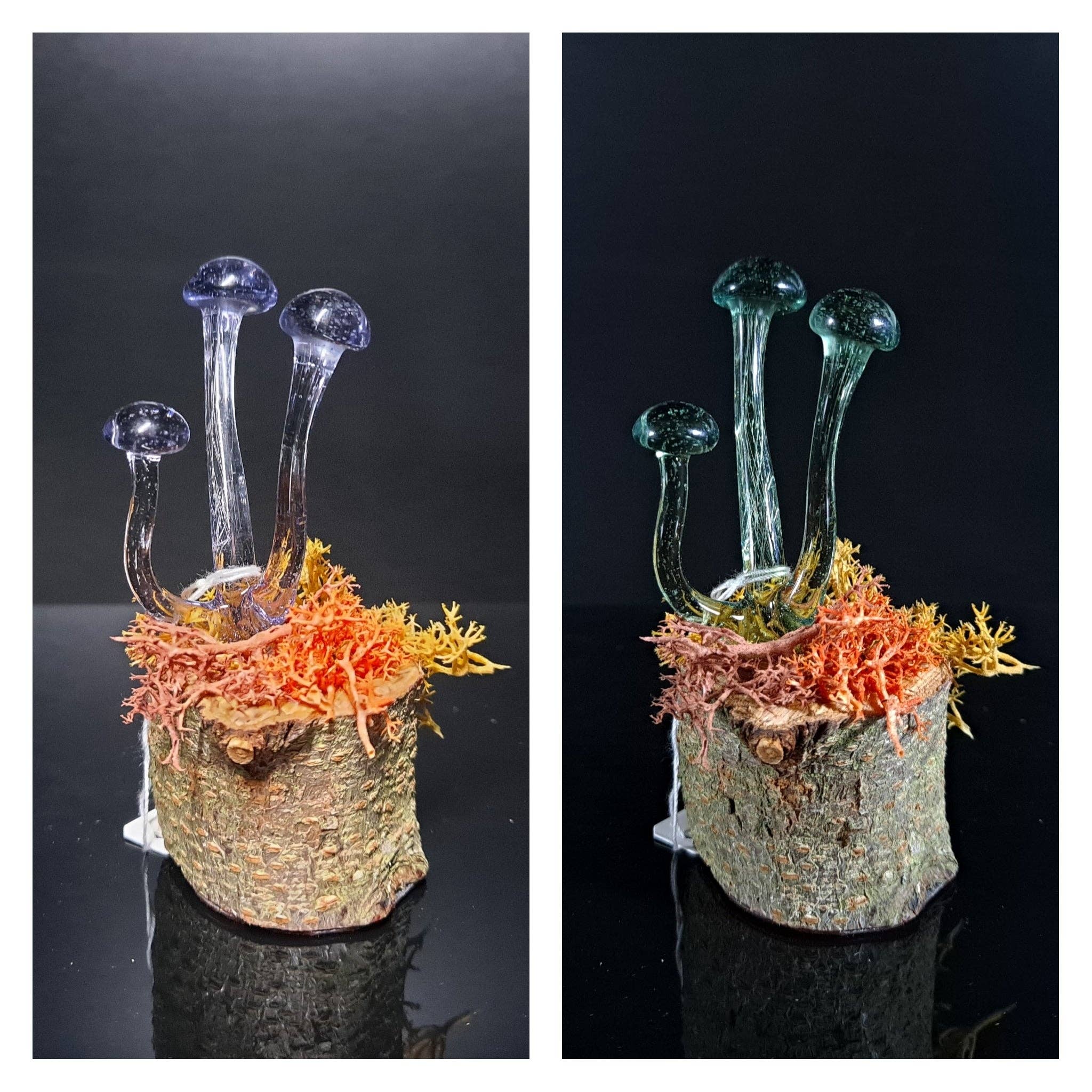 Sunshine Glass Gifts - Wholesale Sculpture - Mushroom Sculpture, Color Changing Mushroom Collection6