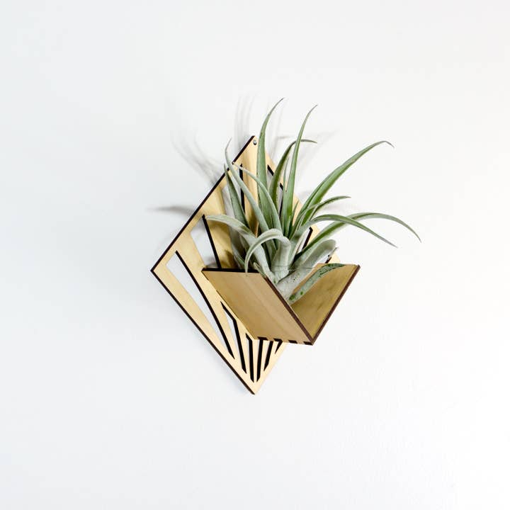 LIGHT RAZOR DESIGN STUDIO - Wholesale Wall planter - Air Plant Holder / Quadrate Wall Hanging Planter 2116