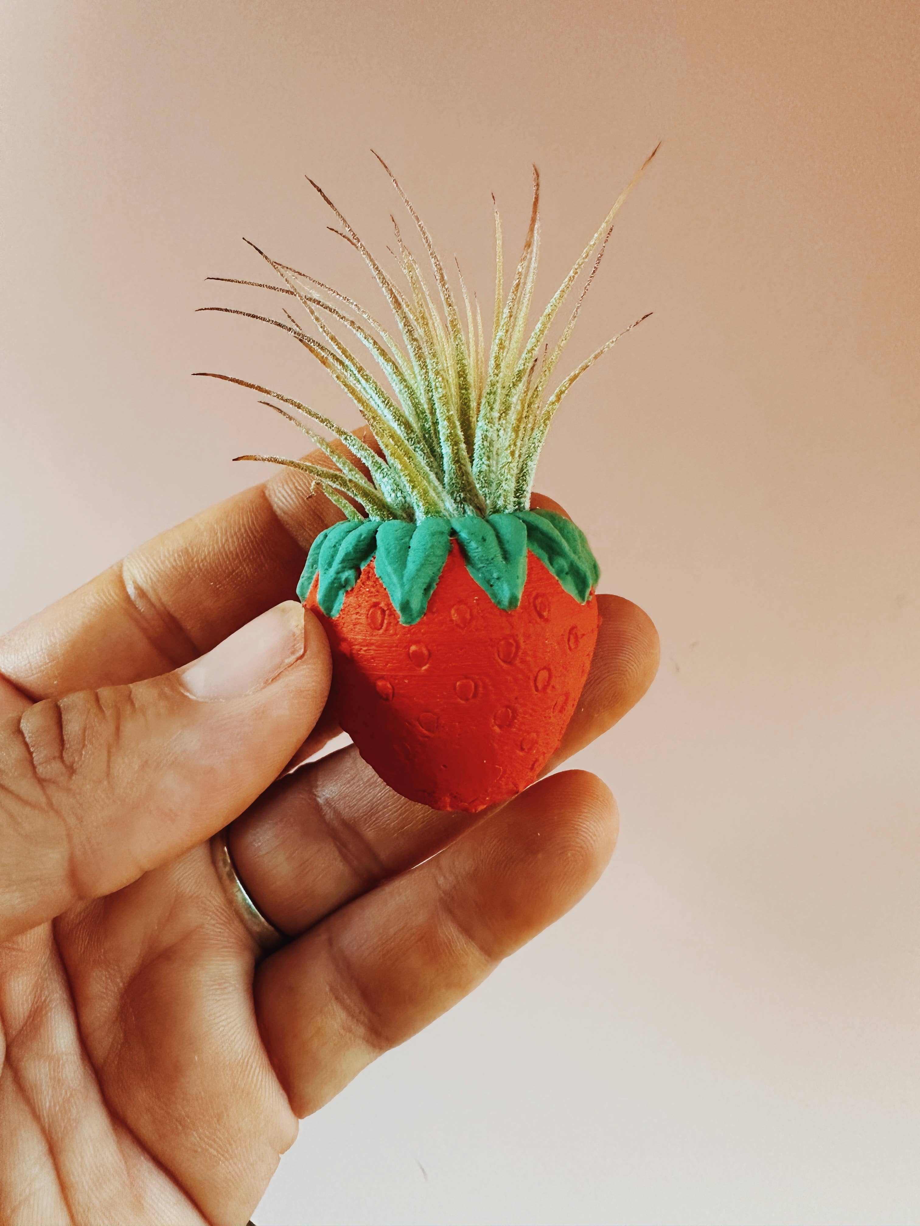 O'Berry's Succulents - Wholesale Plant Pot - Red Strawberry Patch Mini Planter and Air Plant