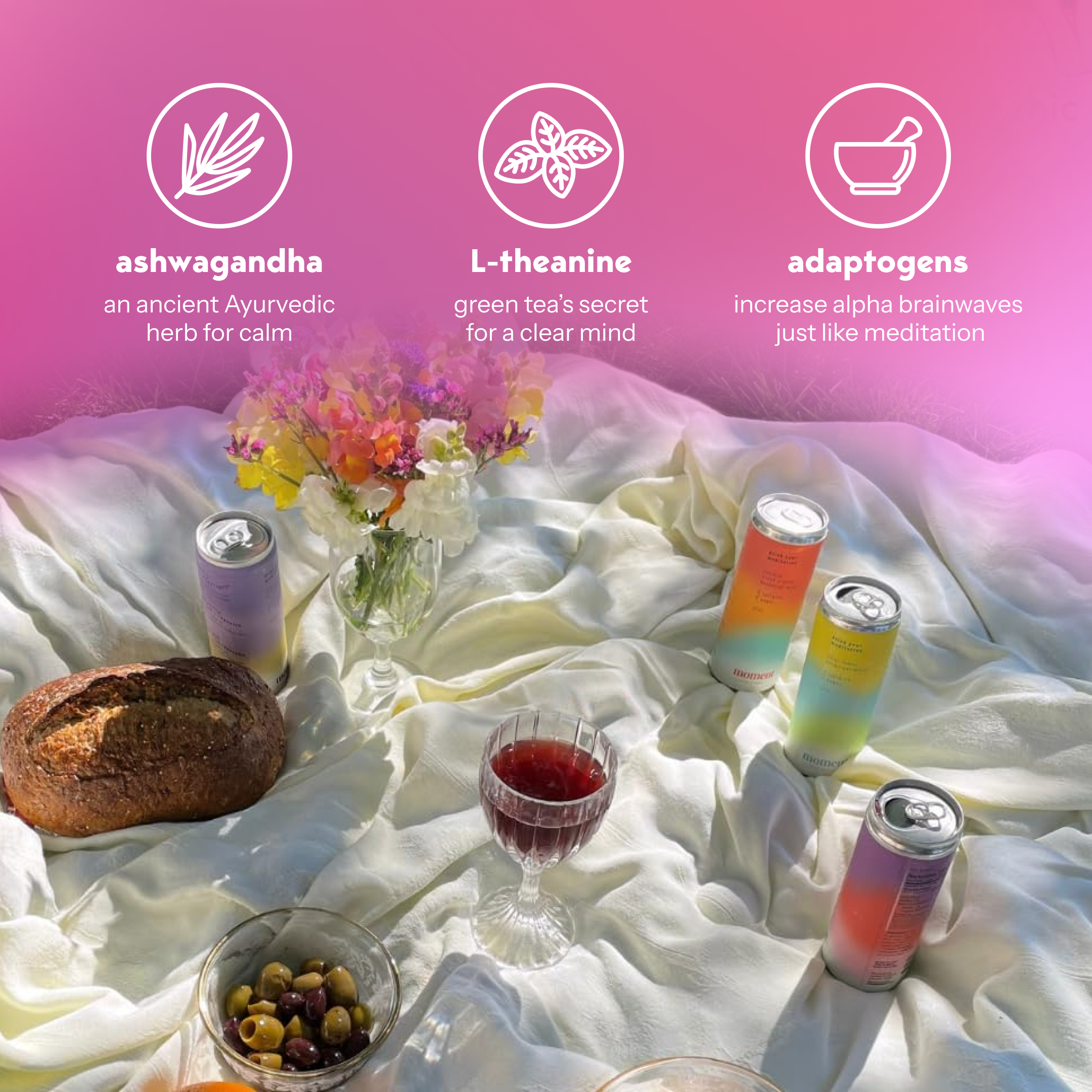 Moment - Wholesale Non-Alcoholic Aperitif/Mocktail - Sparkling Plumspritz 12-pack Botanical Water2