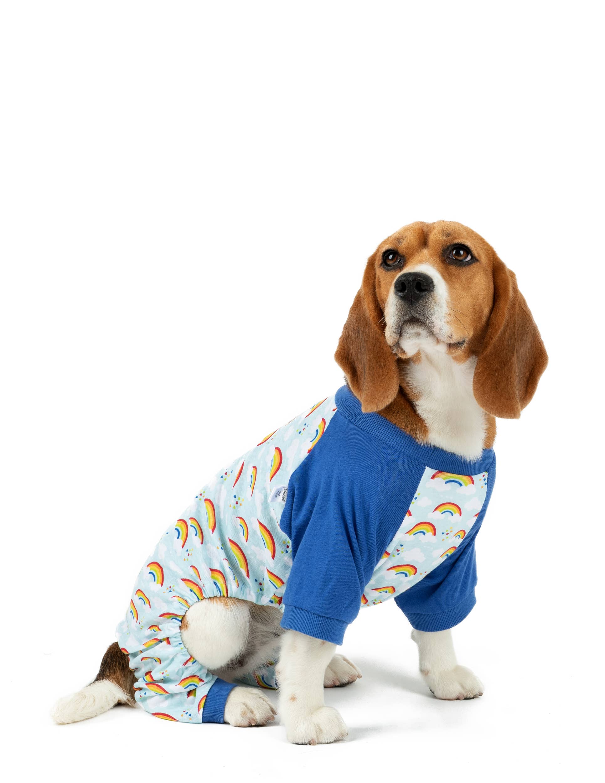Leveret Pajamas – Großhandel Haustierpyjama – Hund – Hundebaumwoll-Pyjama mit Muster38