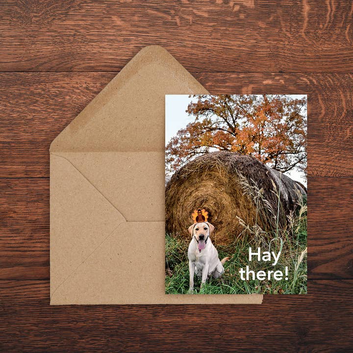 Hay There Card for wholesale by Tiny Hands Productions