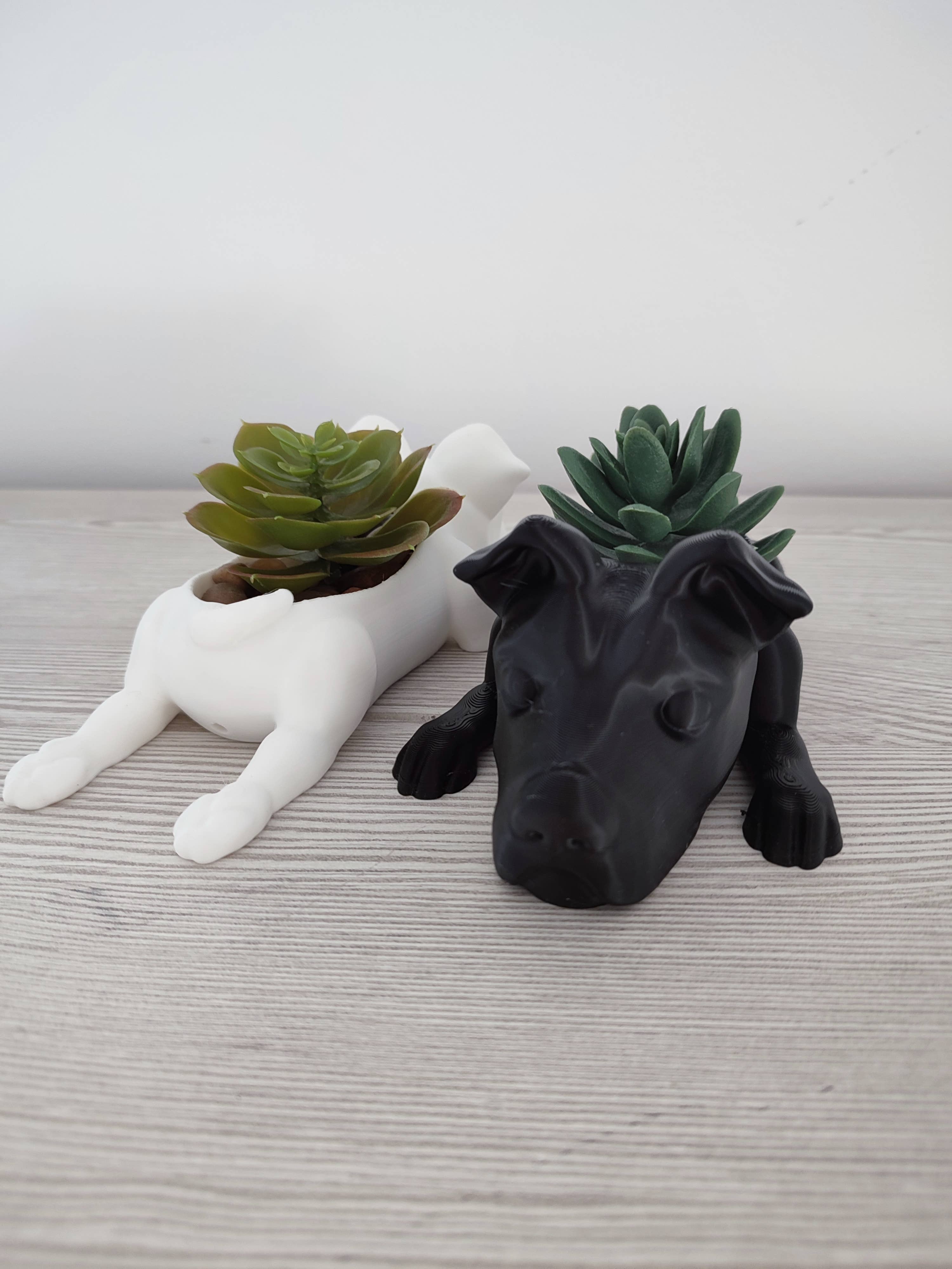3DROOTS - Venta al por mayor Macetas - Maceta con forma de perro Staffordshire Bull Terrier3