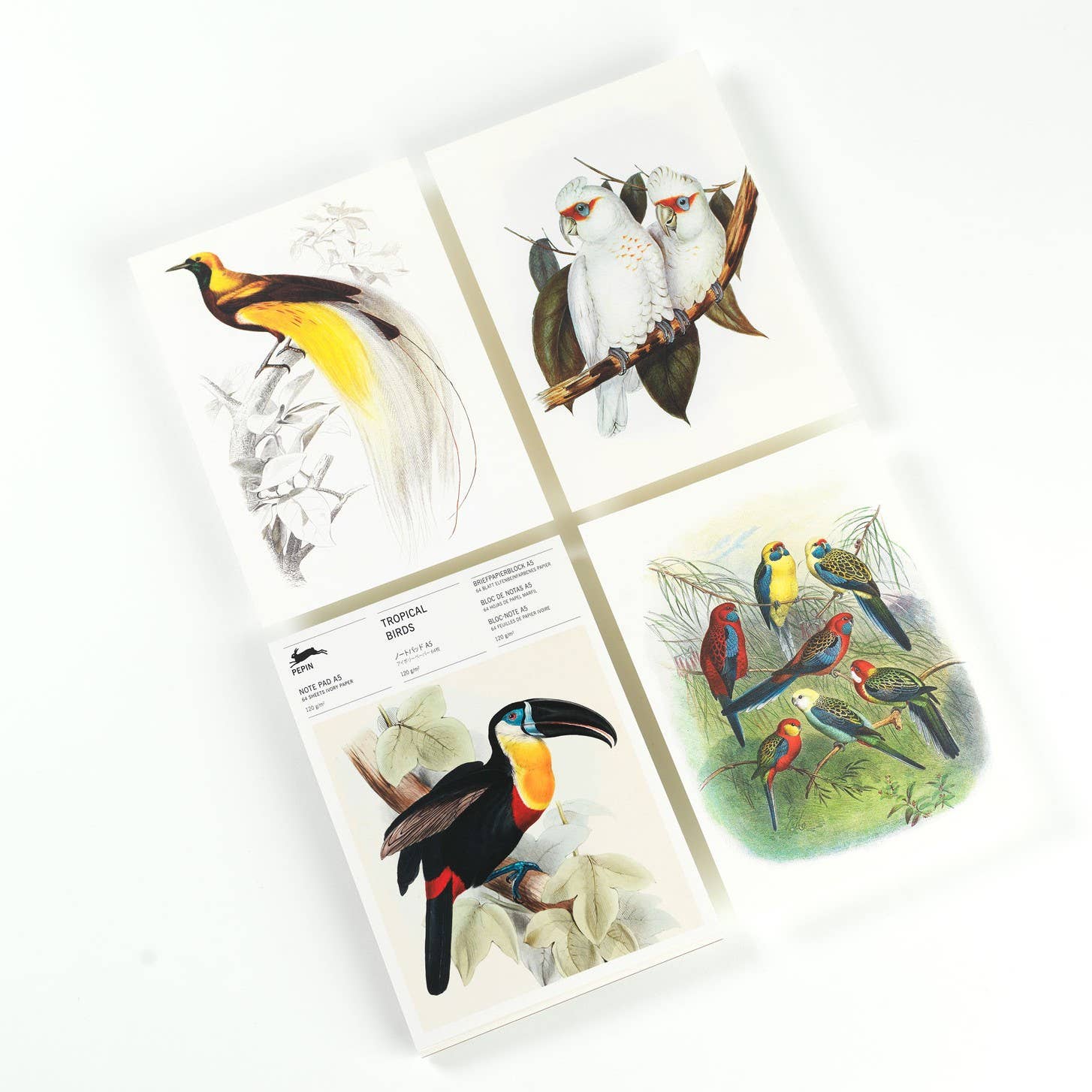 Pepin Press - Wholesale Notepad - Tropical Birds A5 Note Pad & Writing paper1