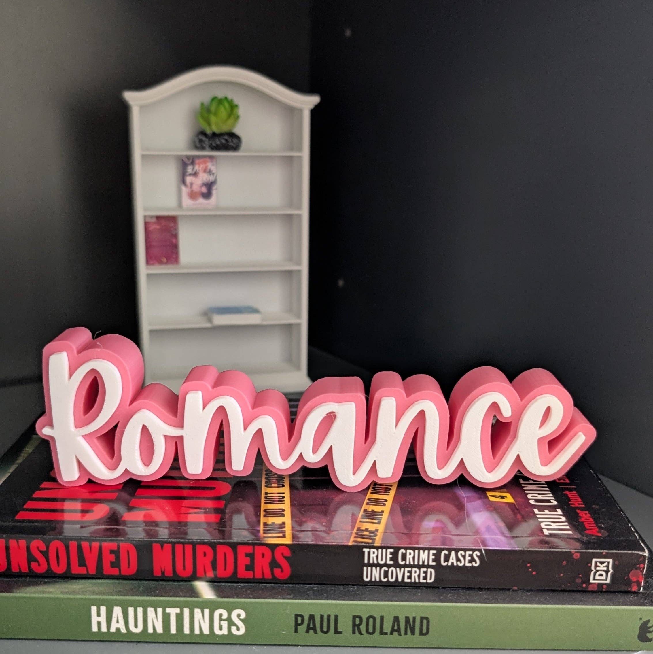 The Gift Genie LLC - Wholesale Bookend - 3D Book Sitters8